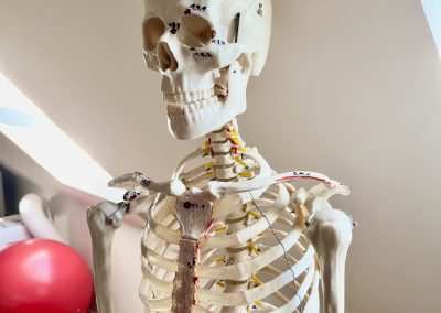 Skelettschmerzen effektiv behandeln