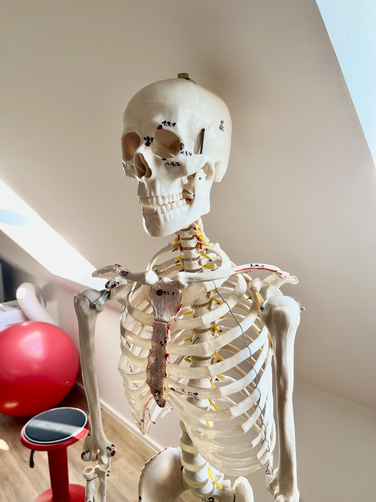 Skelettschmerzen effektiv behandeln